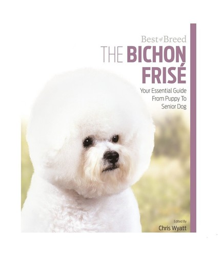 Bichon frise best breed - best,
