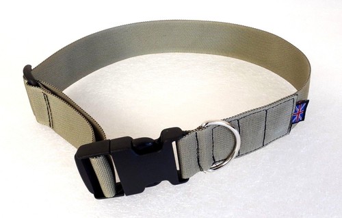 Magnetic healing dog - magnetic,