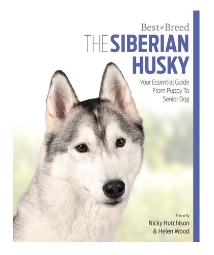 Siberian husky best - of, breed