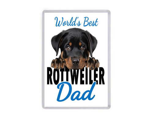 Fridge magnet worlds - fridge,