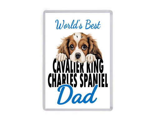 Fridge magnet worlds best - magnet,