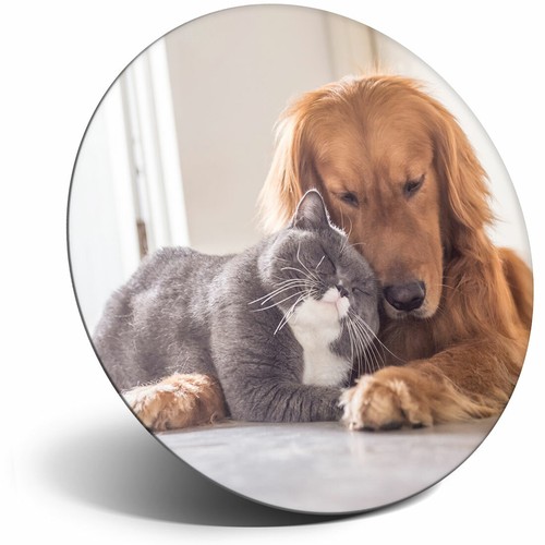 Awesome fridge magnet best - -,