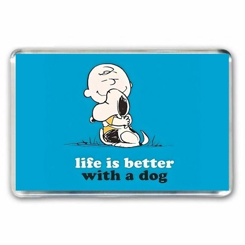 Retro peanuts life is - retro, peanuts-