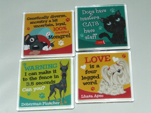 Wags whiskers cat or - whiskers,