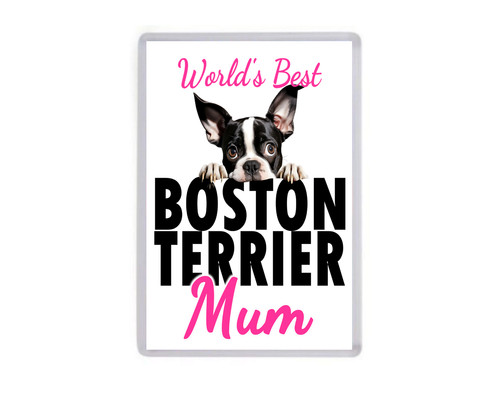 Fridge magnet worlds - -,