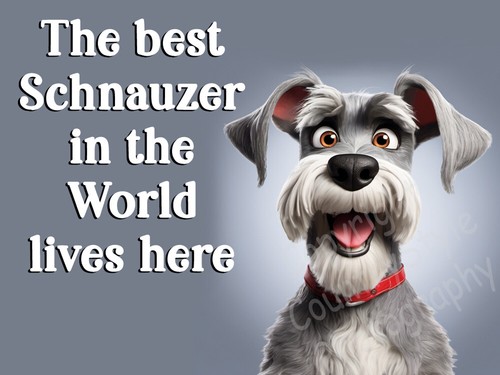 Schnauzer dog funny flexible - dog,