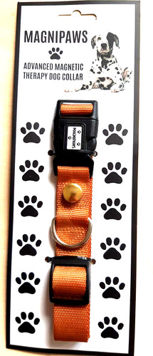 Dog collar with - collar, magnet