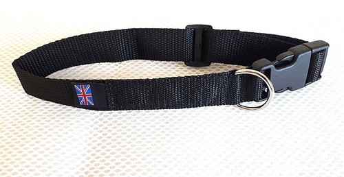 Magnetic bio healing dog - magnetic,
