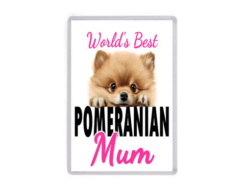 Fridge magnet worlds - fridge,