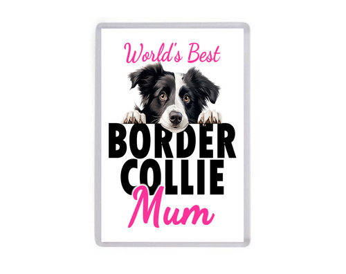 Fridge magnet worlds best - magnet,
