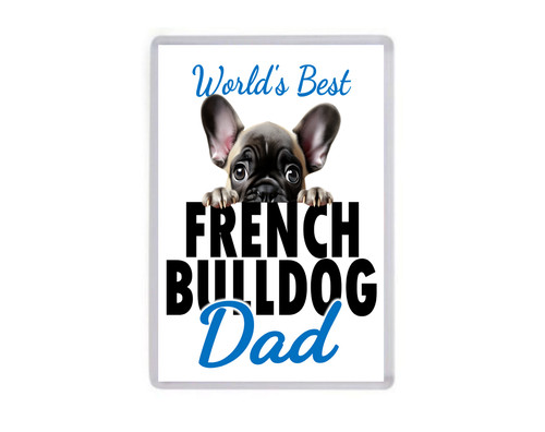 Fridge magnet worlds - fridge, best