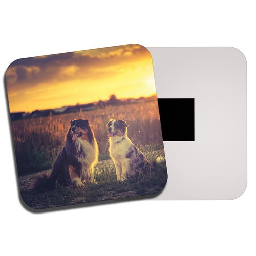 Best friend collie dogs fridge - best,