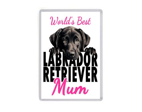 Fridge magnet worlds best - fridge,