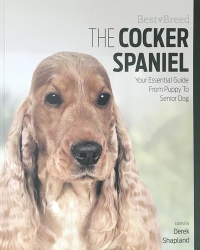 Cocker spaniel best breed - cocker,
