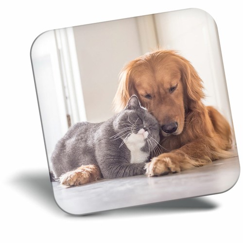 Awesome fridge magnet best - magnet,